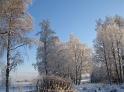 2010_talvikuvia 029